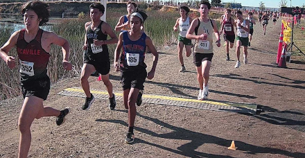 Sophomore Boys, Division 1-2, CIF Sac-Joaquin Section XC Championships (11/16/2024)